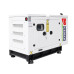 Генератор дизельный Ricardo IYI-R-44 K4102ZD 44 KVA/35KW, трехфазный 230/400V, 50Hz, объем 100 л, 2200x900x1200 мм (AVR+ATS(АВР) в комплекте)