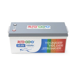 Аккумуляторна батарея Redodo 25.6V 100Ah 2560Wh LiFePO4 (100/100A)(532*207*215)